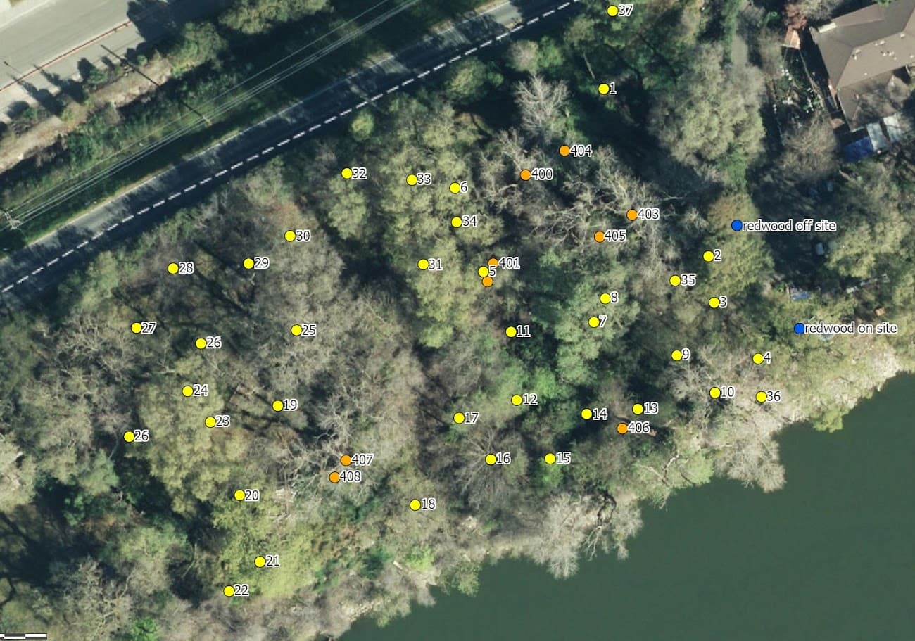 Aerial view of Pusheen Village location